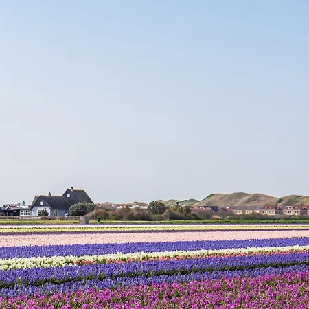 Helmzicht In Groote Keeten Callantsoog