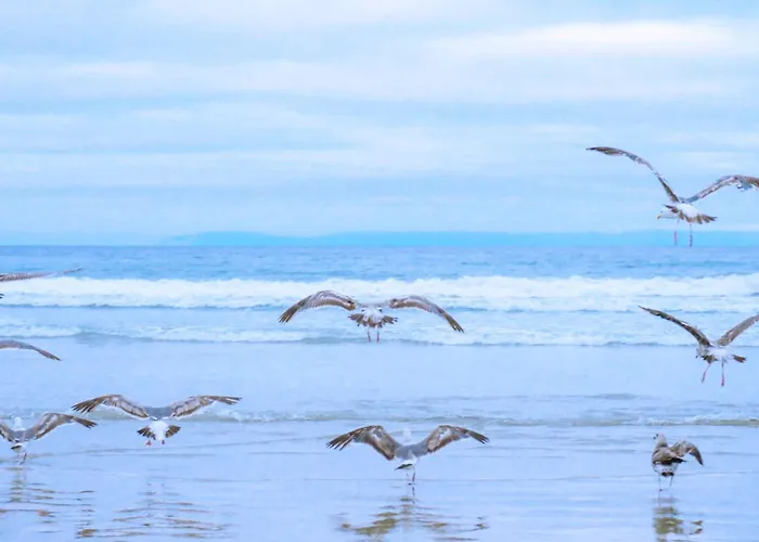 Helmzicht In Groote Keeten *